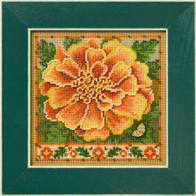Marigold (2026) - Mill Hill
