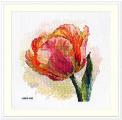 Parrot Tulip - Merejka