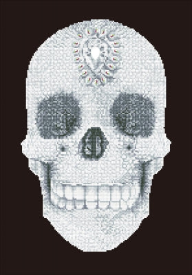 Crystal Skull - Diamond Dotz