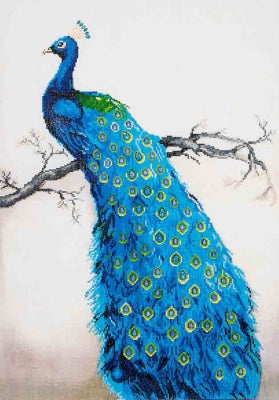 Blue Peacock - Diamond Dotz