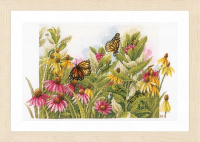 Butterflies And Coneflowers - Lanarte