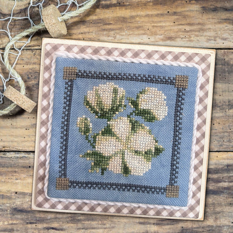 Gulf Coast Treasures: Cotton Blossom - Dirty Annie's