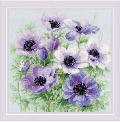 Purple Anemones - Riolis