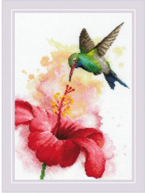 Hummingbird - Riolis
