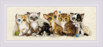 Kittens - Riolis
