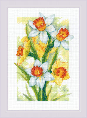 Daffodils: Spring Glow - Riolis
