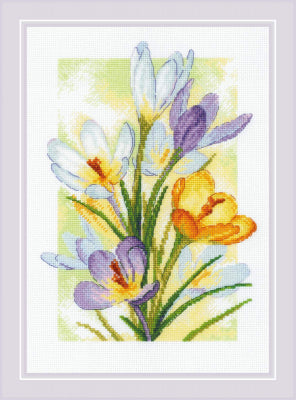 Crocuses: Spring Glow - Riolis