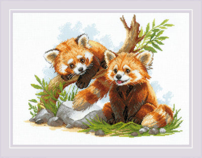 Red Panda Cubs - Riolis