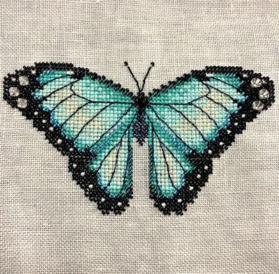 Common Morpho Butterfly - Shannon Christine Designs