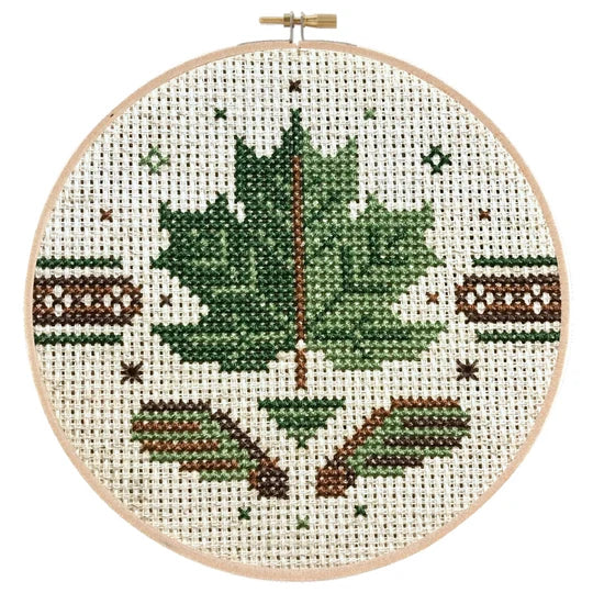 Sugar Maple - Pigeon Coop