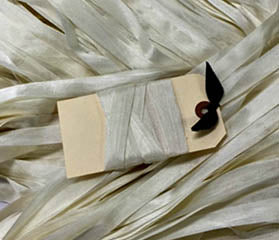 Vanilla Ribbon - Lady Dot Creates