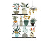 House Pot Plants - Vivsters