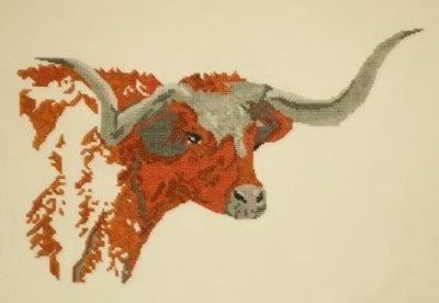 Texas Longhorn - The Posy Collection