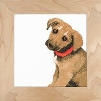 Yorkshire Terrier (Aida) - Lanarte