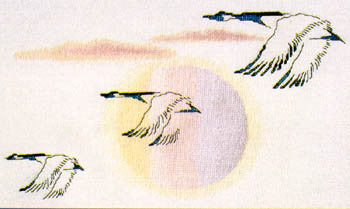 Flight of Three - Xs and Ohs