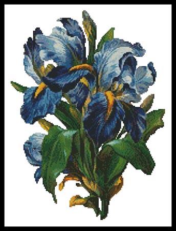 Bunch Of Irises - Artecy Cross Stitch