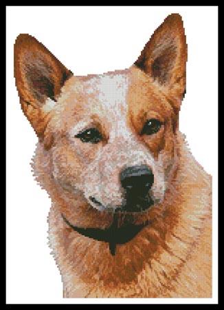 Red Heeler - Artecy Cross Stitch