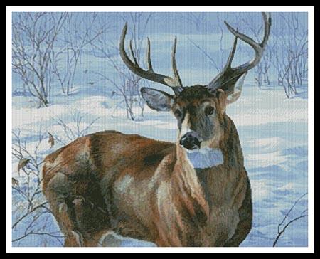 Whitetail Buck - Artecy Cross Stitch