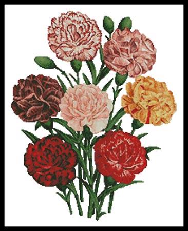 Carnations - Artecy Cross Stitch