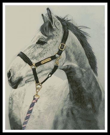 Grey Horse - Artecy Cross Stitch