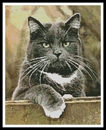 Cat On A Fence - Artecy Cross Stitch