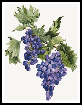 Concord Grapes - Artecy Cross Stitch