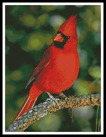 Cardinal Photo - Artecy Cross Stitch