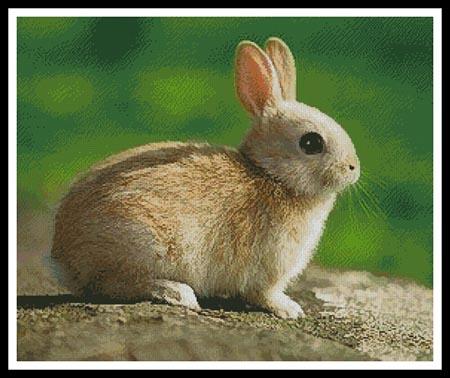 Little Rabbit - Artecy Cross Stitch