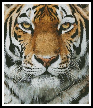 Tiger Portrait - Artecy Cross Stitch