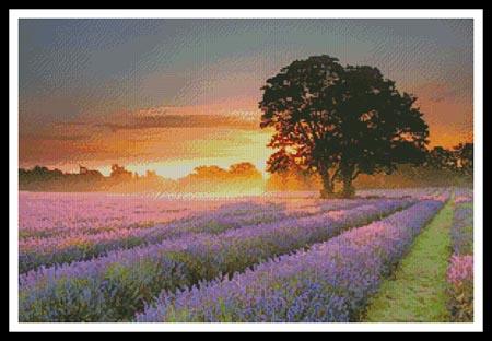 Mayfair Lavender At Sunrise - Artecy Cross Stitch