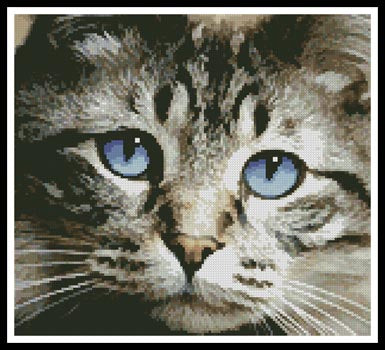 Blue Eyes - Artecy Cross Stitch
