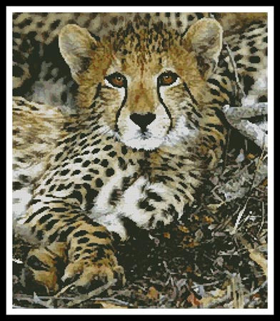 Baby Cheetah - Artecy Cross Stitch