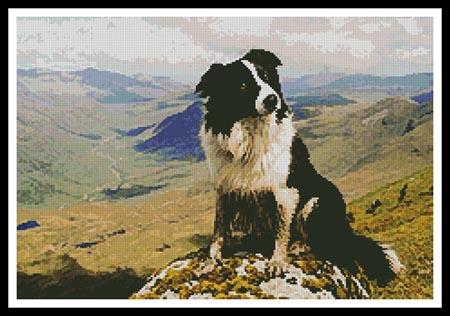 Border Collie In The Hills - Artecy Cross Stitch