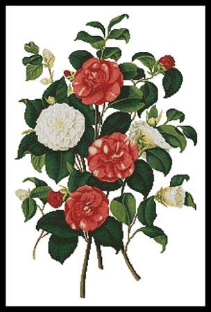 Camellias 1 - Artecy Cross Stitch