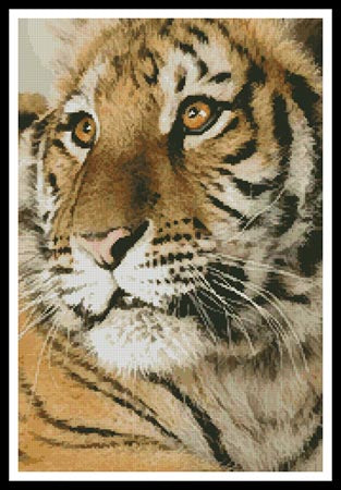 Bengal Tiger Cub - Artecy Cross Stitch