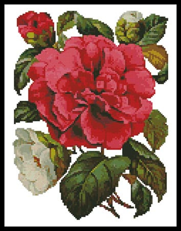 Pink Camellia - Artecy Cross Stitch