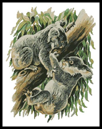 Koala Argument - Artecy Cross Stitch