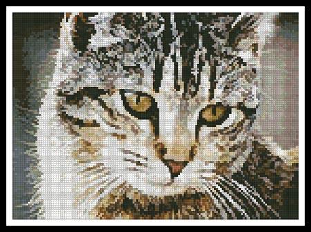 Cute Cat - Artecy Cross Stitch