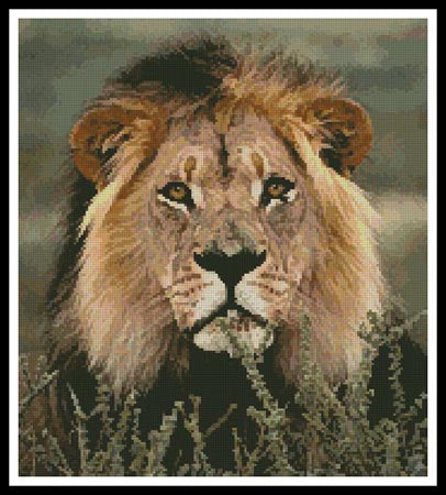 Lion 3 - Artecy Cross Stitch