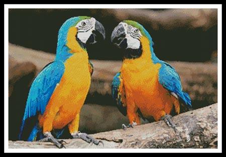 Blue And Yellow Macaws - Artecy Cross Stitch