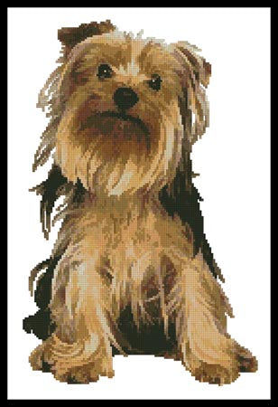 Yorkshire Terrier - Artecy Cross Stitch
