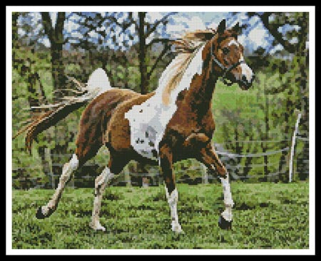 Arabian Horse - Artecy Cross Stitch