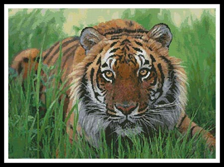 Bengal Tiger In Grass - Artecy Cross Stitch