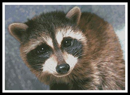 Cute Raccoon - Artecy Cross Stitch