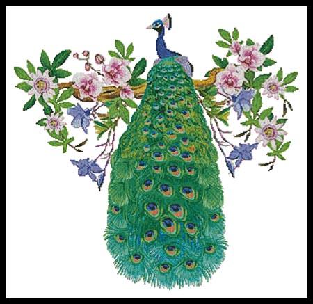 Peacock With Passionflower - Artecy Cross Stitch