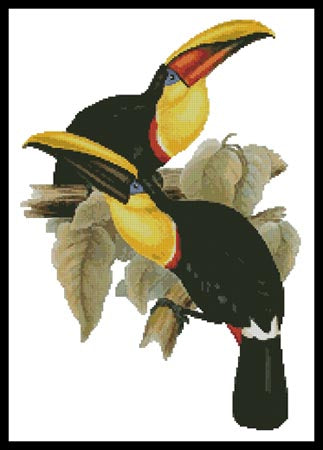 Toucans - Artecy Cross Stitch