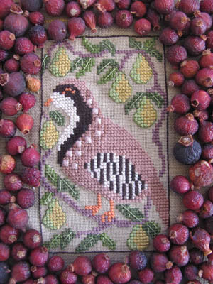 Birds of a Funky Feather #5 - By The Bay Needleart