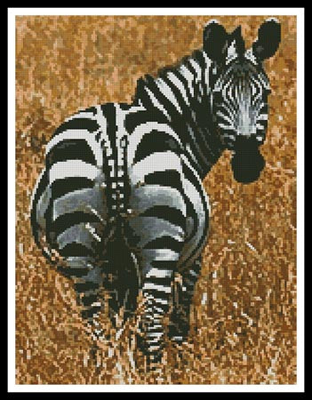Zebra - Artecy Cross Stitch