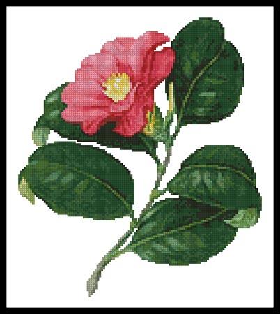 Japanese Camellia - Artecy Cross Stitch