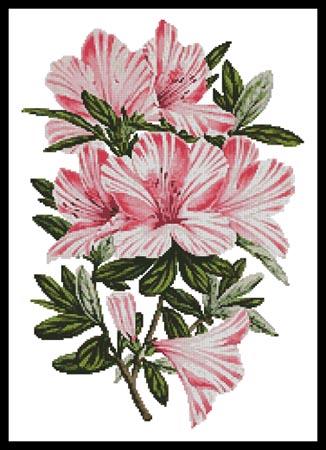 Pink Azaleas - Artecy Cross Stitch